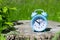 Sunlit blue alarm clock on wooden cut stump with green bokeh background. Metaphor