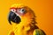 Sunlit brilliance vividly colored parrot on yellow background, profile view