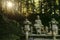 Buddha statue in Enryaku-ji monastery at Mt. Hiei, Kyoto, Japan