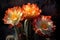 sunlit cactus flowers with contrasting shadows and textures