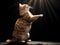 Sunlit Cat on the Ascent: Graceful Stretch and Dynamic Motion in Golden Glow. Generative Ai