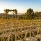 Sunlit chairs facing a Chuppah and a scenic view