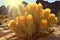 sunlit cholla cactus with golden glow