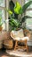 Sunlit Cozy Corner with Rattan Chair and Lush Indoor Plants by Window Biophilic Design