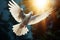 Sunlit dove takes flight, embodying peace and ethereal beauty