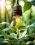 Sunlit Eco Lightbulb in Foliage