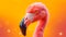 Sunlit Elegance: Realistic Pink Flamingo on Yellow Surface