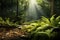 Sunlit Fern-Covered Forest Floor