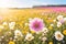 Sunlit Flower Field: Closeup Macro of Spring and Summer Garden Beauty.