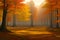 Sunlit forest landscape in autumn. Generative-AI