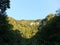 A sunlit forest on a mountainside, Martvili, Georgia.