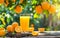 Sunlit Fresh Oranges and Juice in Nature