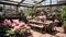 Sunlit greenhouse filled with lush pink blooms and potted plants, featuring a wooden table setup.