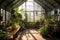 sunlit greenhouse interior with lush green plants