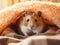 Sunlit Haven: Hamster\\\'s Blissful Retreat in Soft Browns and Grays