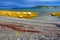 Sunlit Kelp beds at Rocky Harbour, Gros Morne National Park, Newfoundland, Canada