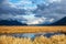 Sunlit marsh with mountains in the background