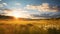 A sunlit meadow with rolling clouds overhead