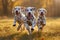 Sunlit mischief Small Dalmatian dogs play and run joyfully outdoors