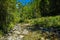 Sunlit Mountain Creek with Clear Water in Austria