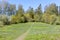 Sunlit path through the meadow to the edge of the spring forest and flowering cherry trees