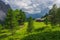 Sunlit picturesque meadow with traditional wooden alpine hut