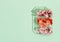 Sunlit pink and red flowers in plastic box on pastel green background. Nature against plastic concept. Tip view. Flat lay