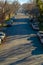 Sunlit road lined with vehicles and trees in Provo