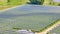 Sunlit rows of solar panels on corner edge of solar farm aerial