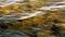 Sunlit shallow golden lake waters. Rocks lying below surface.