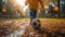 Sunlit Soccer Fun: Child\\\'s Delightful Game of Football (AI-Generated)