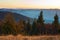 Sunlit spruce, pine trees against smoky mountain range