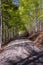 Sunlit stone path in beskydy velky javornik