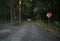 Sunlit stop sign by a shaded forest road