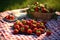 sunlit strawberries on a picnic blanket outdoors