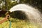 A sunlit stream of water. Watering garden crops with a watering gun