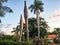 Sunlit topless palm trees at sunset