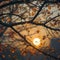 Sunlit tree branches silhouette, a serene autumn atmosphere captured