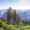 Sunlit trees and shrubs with amazing mountain view