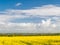 Sunlit View to Church - Field of Rapeseed