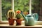 Sunlit watering can and cactus in flower pots on the windowsill. Small balcony garden. Generative ai