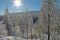 Sunlit Winter Forest in Covered in Snow