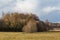 Sunlite fields with tree in springtime