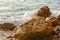 Sunlite textured boulders with foaming breaking wave on rocky shoreline