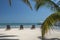 Sunloungers palm tree Caye Caulker Belize