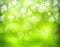 Sunny abstract green nature background