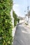 Sunny Alberobello street with trullo houses