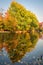 Sunny and amazing trees and river in the autumn, Poland