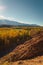 Sunny autumn afternoon by the Andes mountains in the valley of Uspallata, province of Mendoza, Argentina