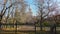 Sunny autumn campus of famous Russian university in Moscow with park of bare trees